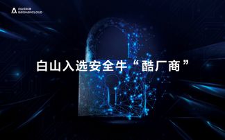 網(wǎng)絡(luò)安全行業(yè)全景圖發(fā)布,新晉 酷廠商 白山是誰(shuí)