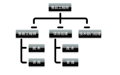 探索IT行業多元就業路徑 技術、咨詢與銷售前景展望
